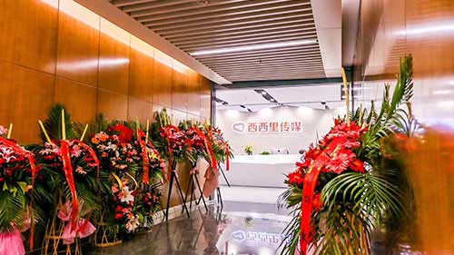 西西里傳媒辦公室綜合布線及弱電系統工程